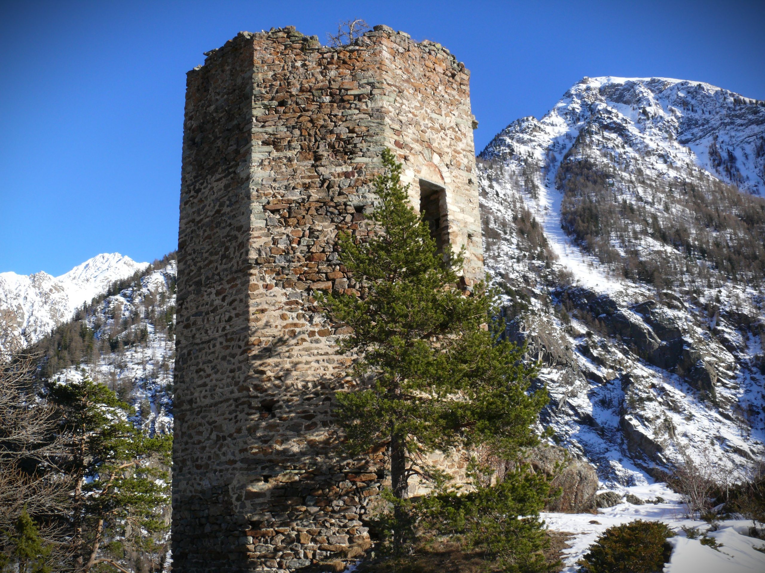 descrizione immagine